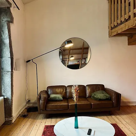 Centre Historique Appartement Grenoble